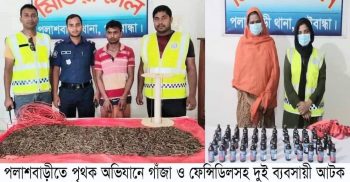 পলাশবাড়ীতে পৃথক অভিযানে গাঁজা ও ফেন্সিডিলসহ গ্রেপ্তার ২