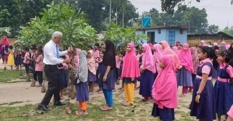 ঠাকুরগাঁওয়ে শিশুদের মাঝে   গাছের চারা বিতরণ