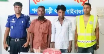 পলাশবাড়ীতে গাঁজাসহ দুই মাদক কারবারী গ্রেপ্তার