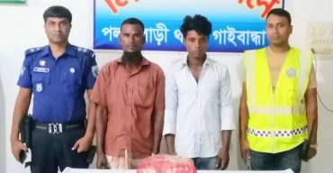পলাশবাড়ীতে গাঁজাসহ দুই মাদক কারবারী গ্রেপ্তার