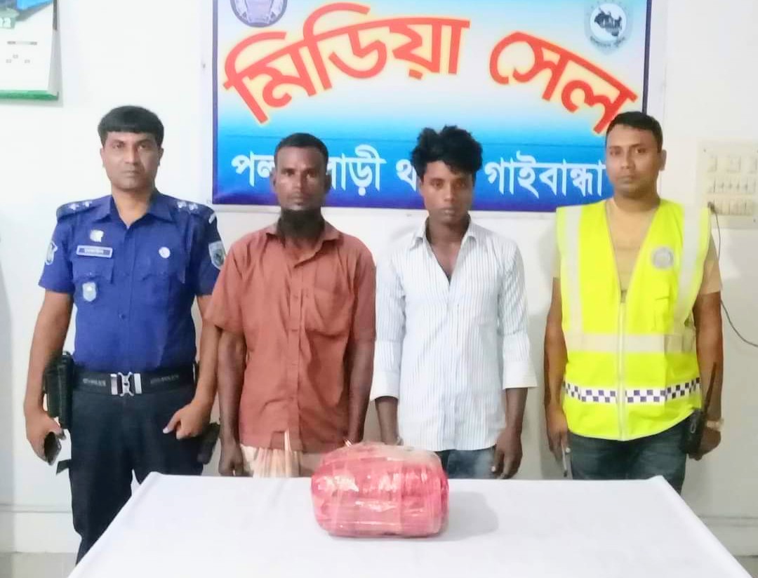 পলাশবাড়ীতে গাঁজাসহ দুই মাদক কারবারী গ্রেপ্তার