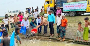 লাখাই উপজেলার চিকনপুর হাওড়ে পোনা মাছ অবমুক্ত