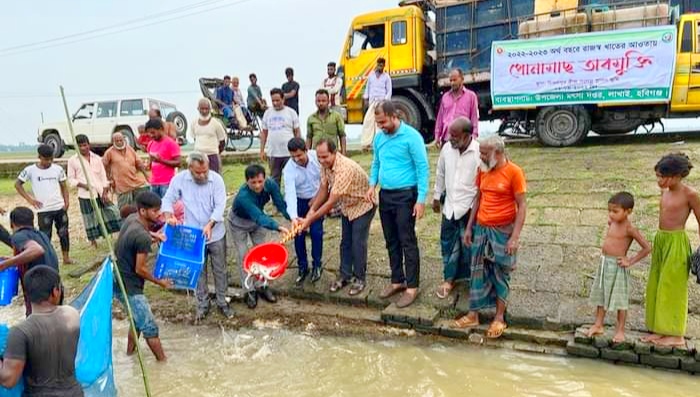 লাখাই উপজেলার চিকনপুর হাওড়ে পোনা মাছ অবমুক্ত