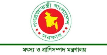 নিম্নআয়ের মানুষকে কম দামে দুধ-ডিম-মাংস দেবে সরকার