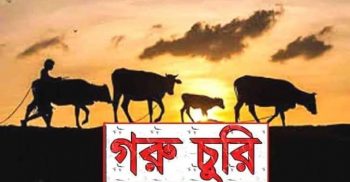 বড় ভাইয়ের গরু চুরির ঘটনায় ছোট ভাই জেল হাজতে