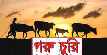 বড় ভাইয়ের গরু চুরির ঘটনায় ছোট ভাই জেল হাজতে