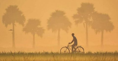 হেমন্তেই দেশের উত্তরে জেঁকে বসেছে শীত