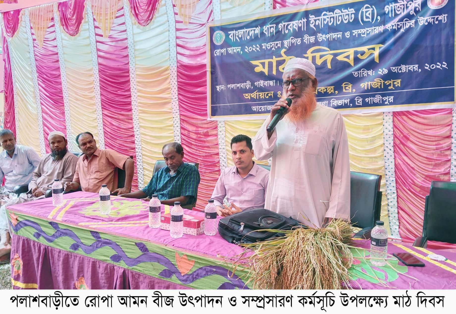 পলাশবাড়ীতে রোপা আমন মৌসুমে স্থাপিত বীজ উৎপাদন ও সম্প্রসারণ কর্মসূচি