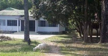 হবিগঞ্জে অন্যের সম্পদে কাদির চৌধুরীর লোভাতুর দৃষ্টিতে মুখ খুললেন- কবির