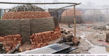 পলাশবাড়ীতে অবৈধ চুল্লিতে কাঠ পুড়িয়ে কয়লা তৈরি আজও বন্ধ হয়নি