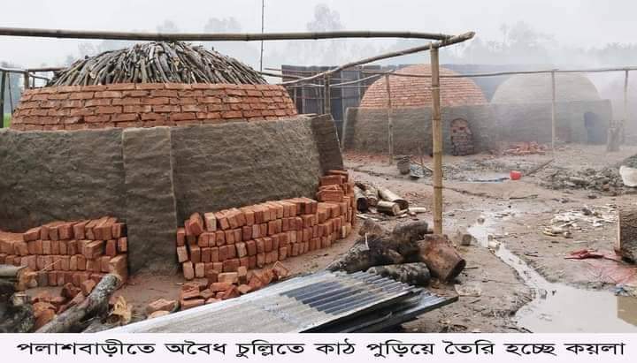 পলাশবাড়ীতে অবৈধ চুল্লিতে কাঠ পুড়িয়ে কয়লা তৈরি আজও বন্ধ হয়নি