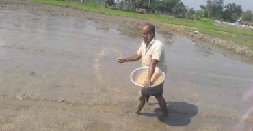 লাখাইয়ে বীজতলা তৈরীর কাজে ব্যস্ত কৃষক