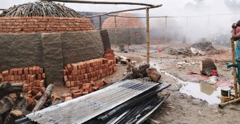 পলাশবাড়ীতে অবৈধ চুল্লিতে কাঠ পুড়িয়ে কয়লা তৈরী