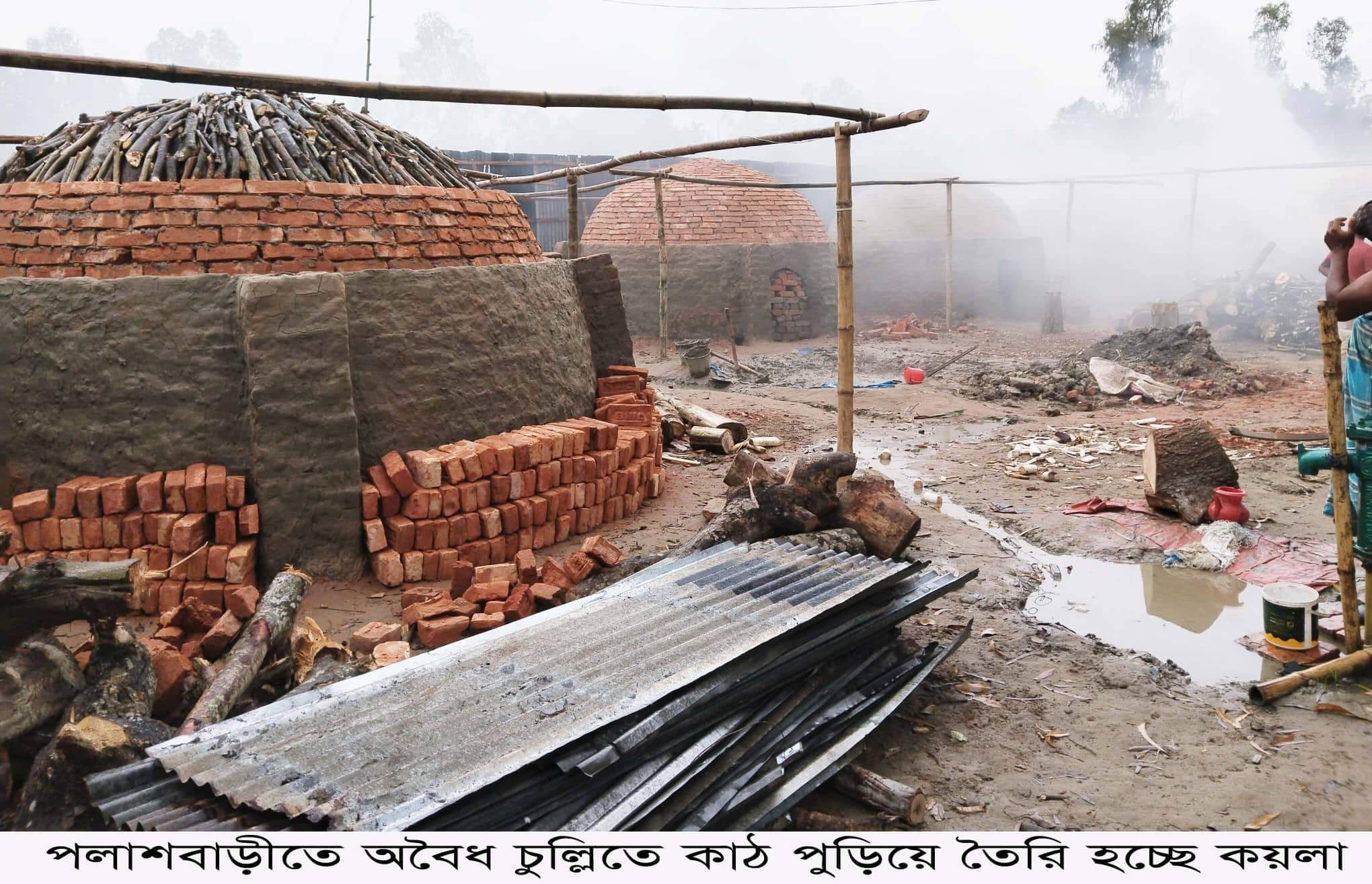পলাশবাড়ীতে অবৈধ চুল্লিতে কাঠ পুড়িয়ে কয়লা তৈরী