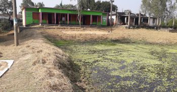 বাহুবলের মানিকপুর সরকারি প্রাথমিক বিদ্যালয়ে নেই খেলার মাঠ,সংগীত চর্চায় ব্যাঘাত