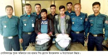 গোবিন্দগঞ্জে তিন মাদক কারবারি গ্রেপ্তার