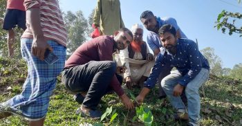 লাখাইয়ে পরিবেশ কর্মী মহিউদ্দিনের উদ্যোগে তালবীজ রোপণের উদ্বোধন