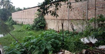 বাহুবলে সরকারি পুকুর জবরদখল