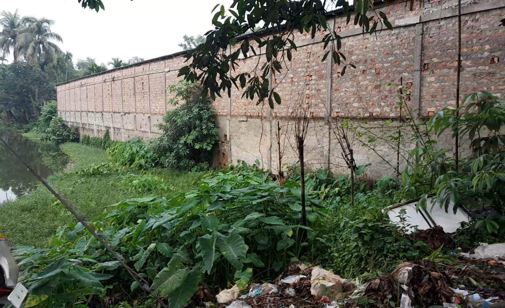 বাহুবলে সরকারি পুকুর জবরদখল