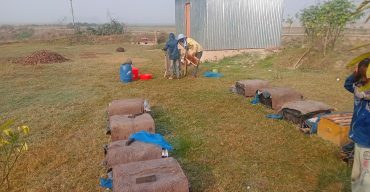 লাখাইয়ে সরিষা ফুলের মধু সংগ্রহ শুরু, স্বাবলম্বি ছুরত আলী