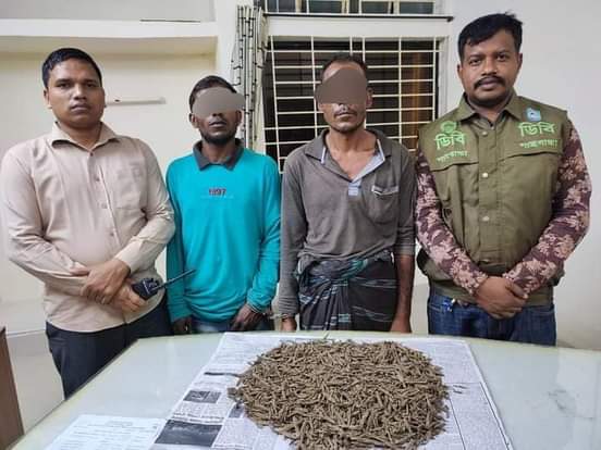 ডিবি পুলিশের অভিযানে ১কেজি গাজাঁসহ  গ্রেপ্তার ২