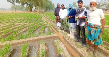 গোবিন্দগঞ্জে কৃষি প্রণোদনার আও‌তায় ১৫ হাজার কৃষক