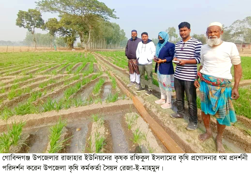 গোবিন্দগঞ্জে কৃষি প্রণোদনার আও‌তায় ১৫ হাজার কৃষক