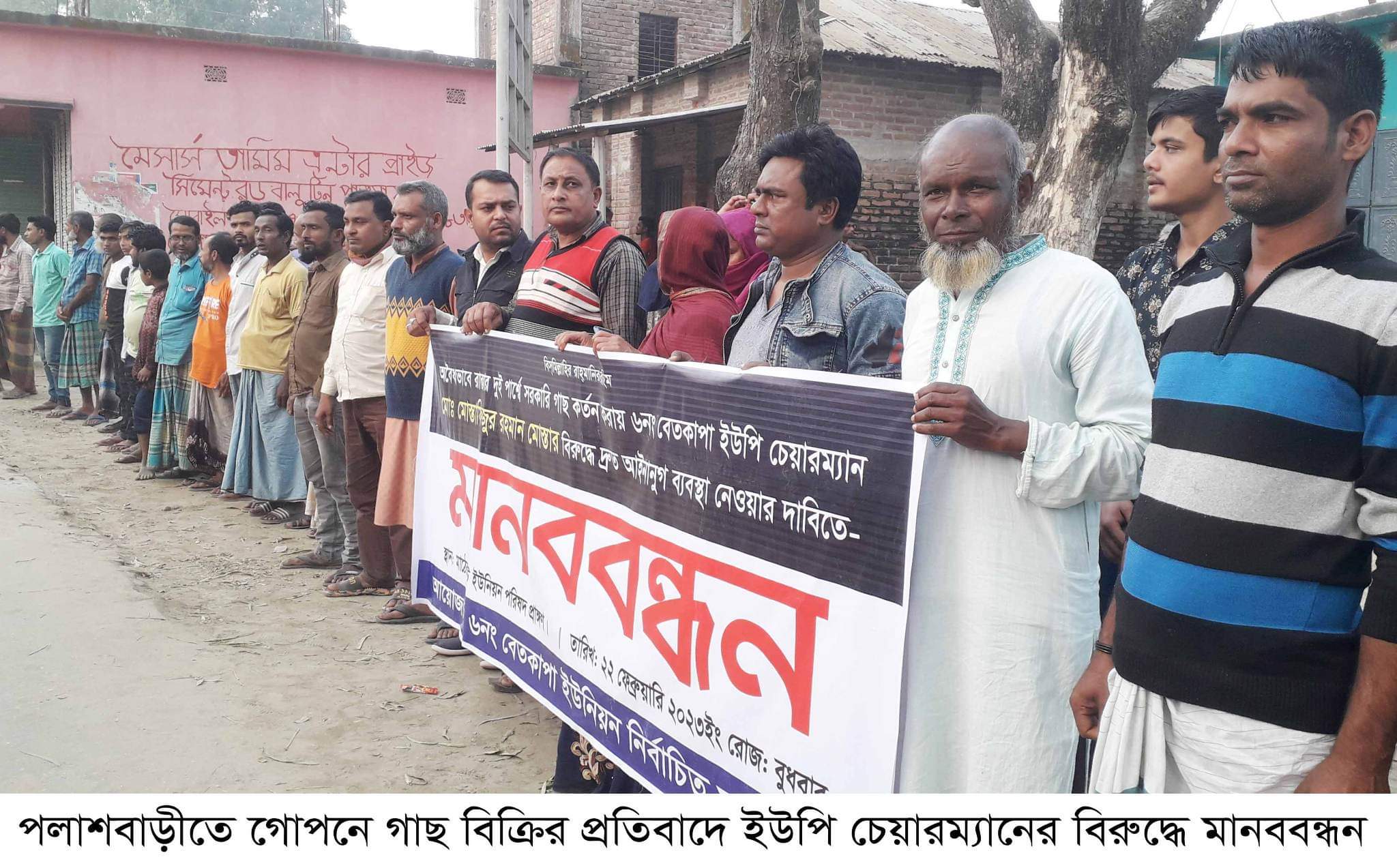 পলাশবাড়ীতে গোপনে গাছ বিক্রির প্রতিবাদে ইউপি চেয়ারম্যানের বিরুদ্ধে মানববন্ধন