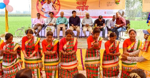 গোবিন্দগঞ্জে বাহা উৎসবে মেতে  উঠলো সাঁওতাল জনগোষ্ঠী