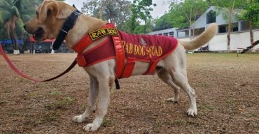 বীরত্বপূর্ণ পদক পাচ্ছে র‍্যাবের ডগ স্কোয়াডের কুকুর