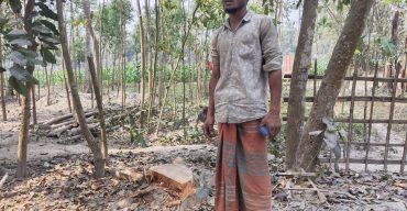 পলাশবাড়ীতে জোরপূর্বক গাছ কর্তনের অভিযোগ
