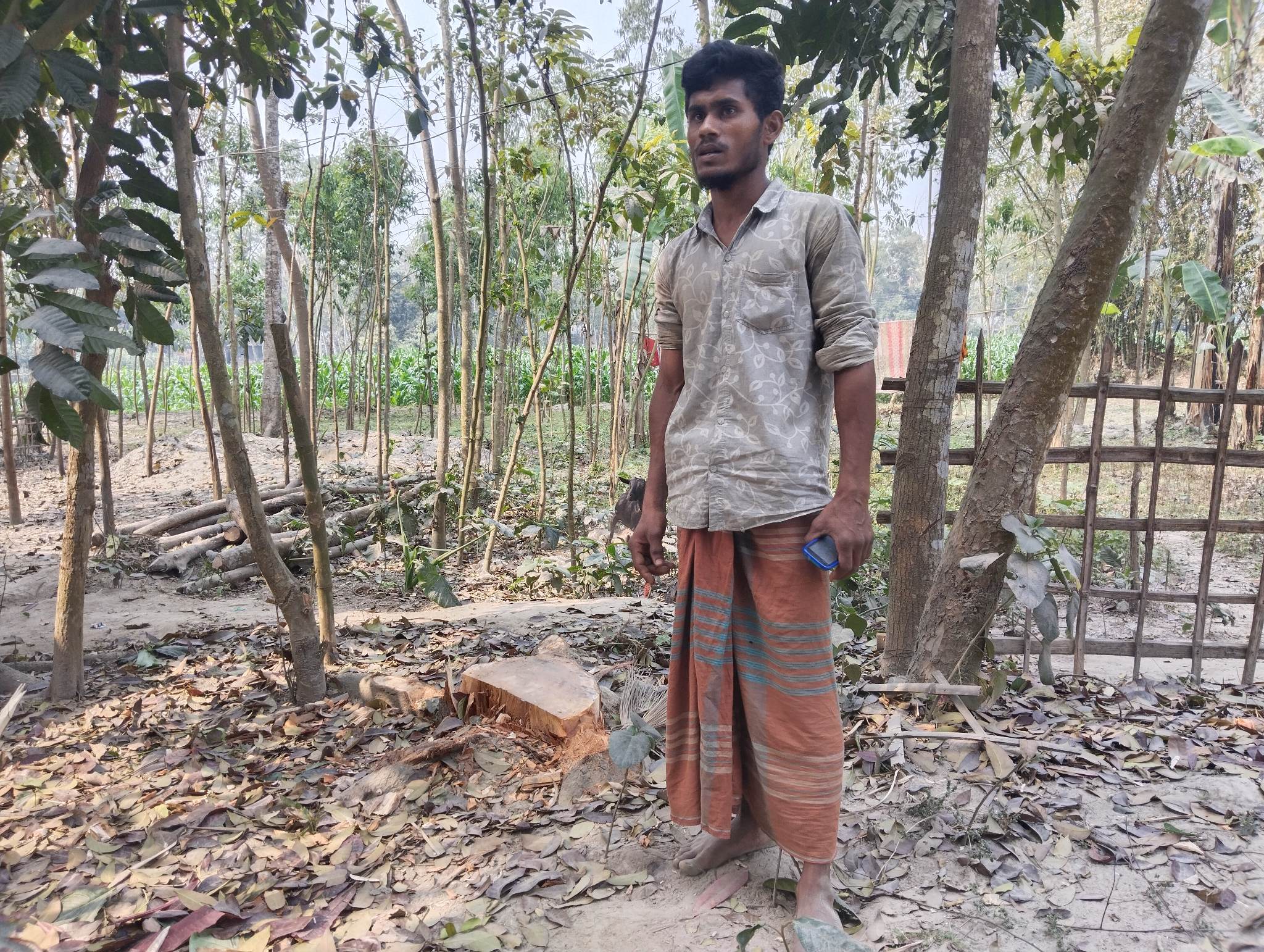 পলাশবাড়ীতে জোরপূর্বক গাছ কর্তনের অভিযোগ