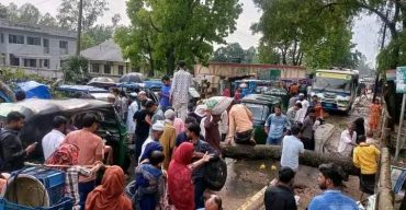 লাখাইয়ে কালবৈশাখী ঝড়ে অসংখ্য গাছপালা ও কাঁচা ঘর বাড়ীর ক্ষতি সাধন