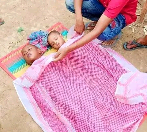 বাহুবলে খেলতে গিয়ে পানিতে ডুবে ভাই-বোনের মৃত্যু