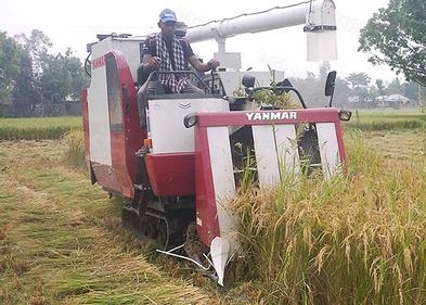লাখাইয়ে ধান কাটার কম্বাইন্ড হার্ভেস্টার গুলি ফেরৎ আসায় কৃষকের স্বস্তির নিশ্বাস