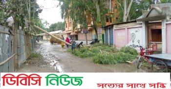 সুন্দরগঞ্জে ঝড়ো হাওয়ায় ব্যাপক ক্ষতিসাধন