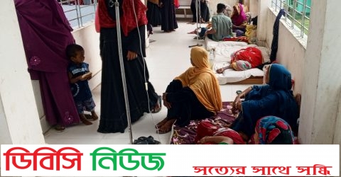 লাখাইয়ে ডেঙ্গু আক্রান্তের পাদুর্ভাব, বেড সংকট ভোগান্তিতে রোগীরা