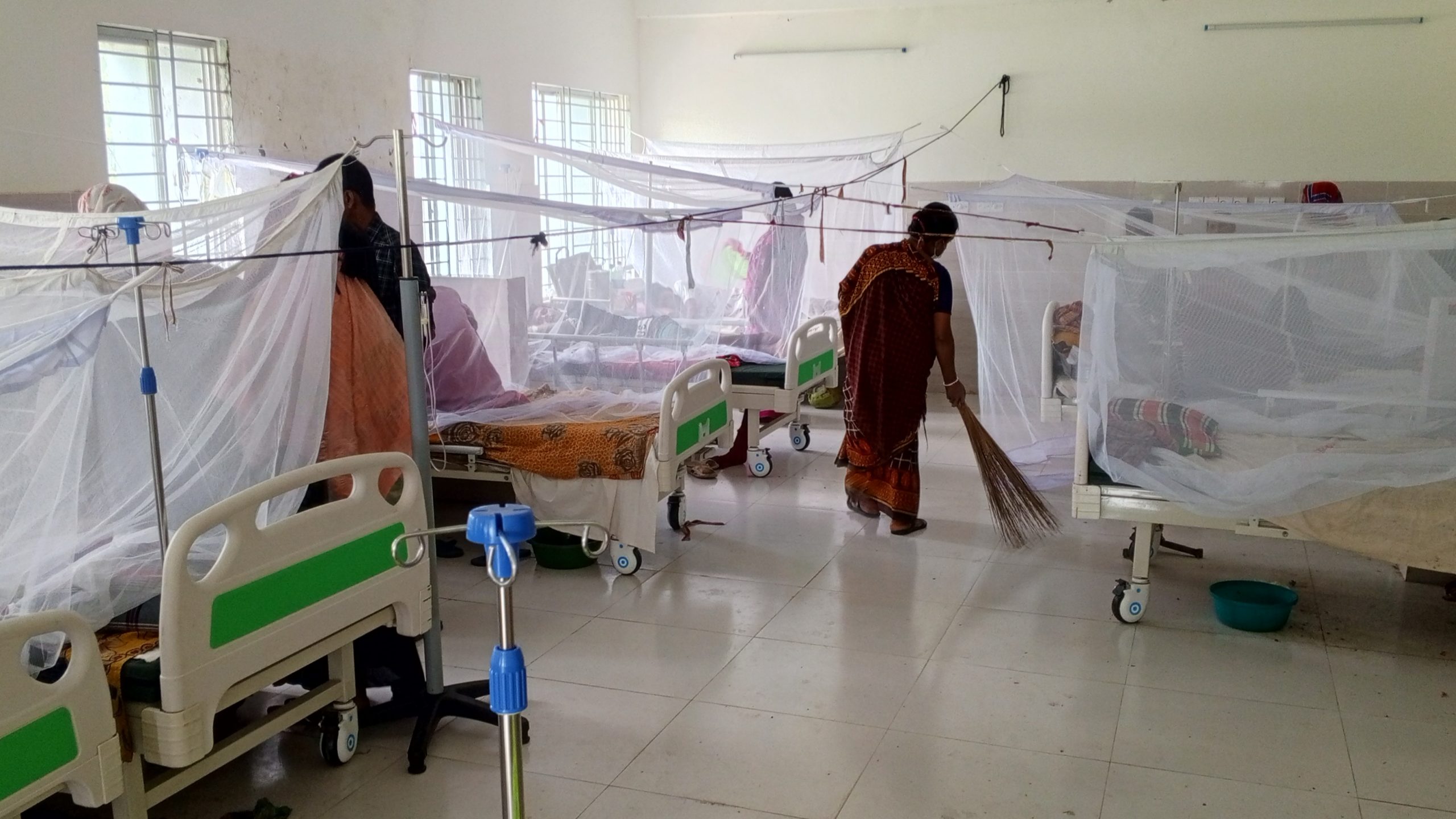 লাখাইয়ে দিন দিন বাড়ছে ডেঙ্গু আক্রান্ত রোগী, দেখা দিয়েছে বেড ও জনবল সংকট