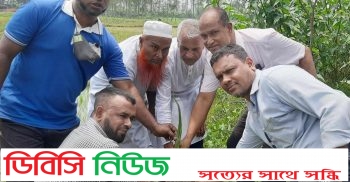 লাখাইয়ে বাপার আয়োজনে আবু জাহির মডেল কলেজে তালের চারা রোপন