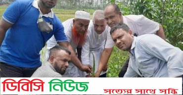 লাখাইয়ে বাপার আয়োজনে আবু জাহির মডেল কলেজে তালের চারা রোপন