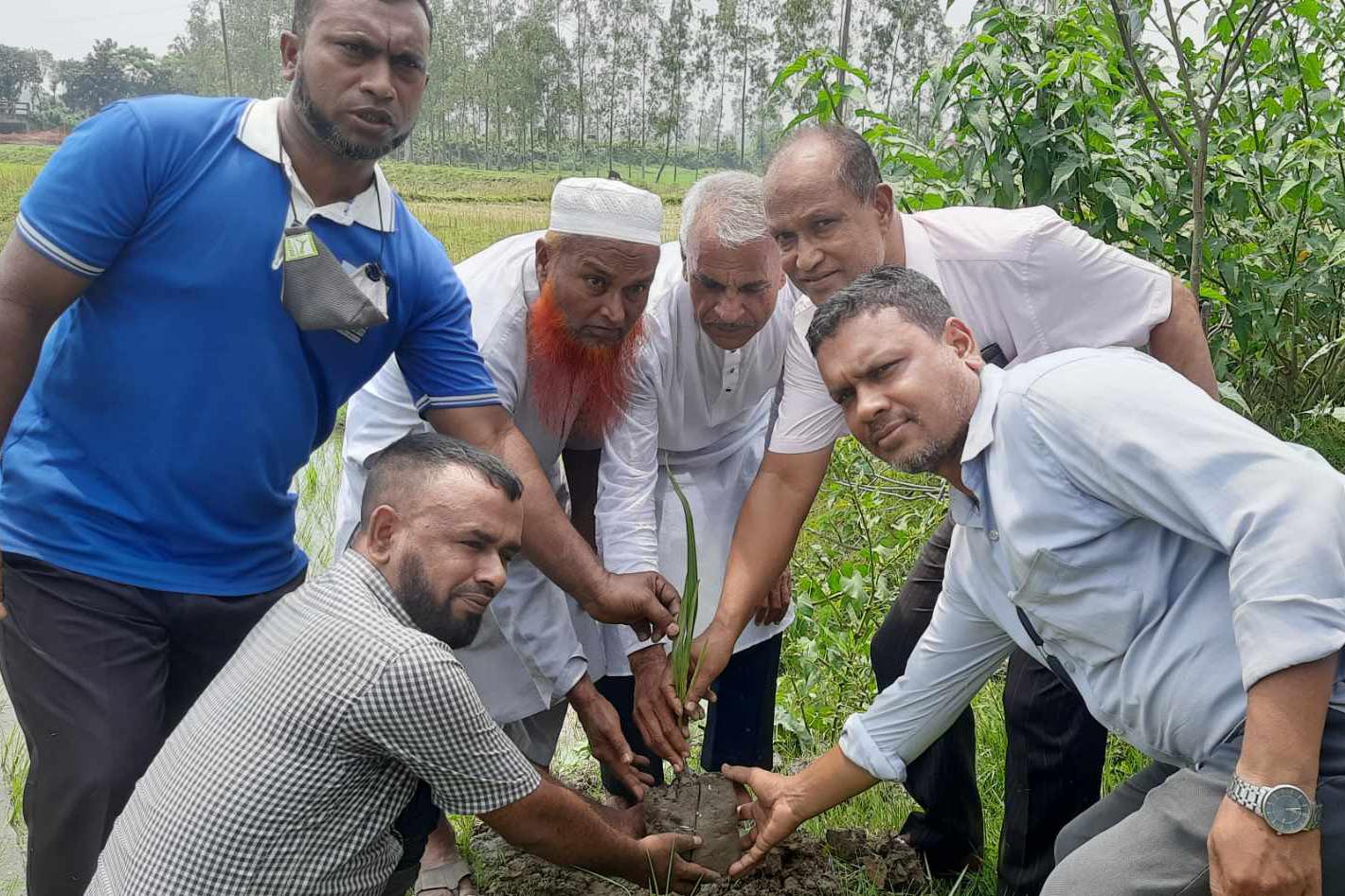 লাখাইয়ে বাপার আয়োজনে আবু জাহির মডেল কলেজে তালের চারা রোপন