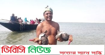 গাইবান্ধায় নির্বিচারে অতিথি পাখি শিকার, লিখত অভিযোগ