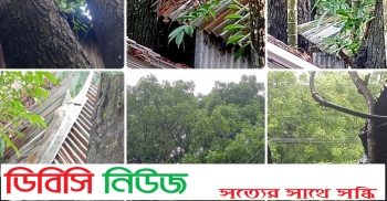 গাইবান্ধায় প্রতিবেশীর ঝুঁকিপূর্ণ পুরনো ৬টি গাছের নিচে মৃত্যু ঝুঁকিতে সাংবাদিক পরিবারের বসবাস, আতঙ্কে ব্যবসায়ীরা! ইউএনও’র তদন্ত ‘দায়সারা’