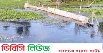 পানি নিষ্কাশন পথে প্রতিবন্ধকতা উঠতি আমন ফসল ক্ষতির মুখে