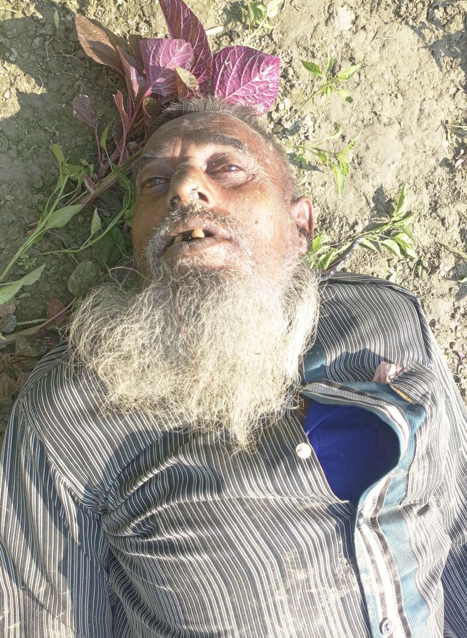 ফুলছড়িতে জমির কাজ করার সময় শ্রমিকের মৃত্যু