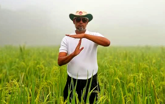 বিএনপির প্রার্থী পরিবর্তনের দাবিতে ধানখেতে ‘রিভিউ আবেদন’ !