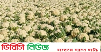 ফুলকপি প্রতি কেজি ২ টাকা